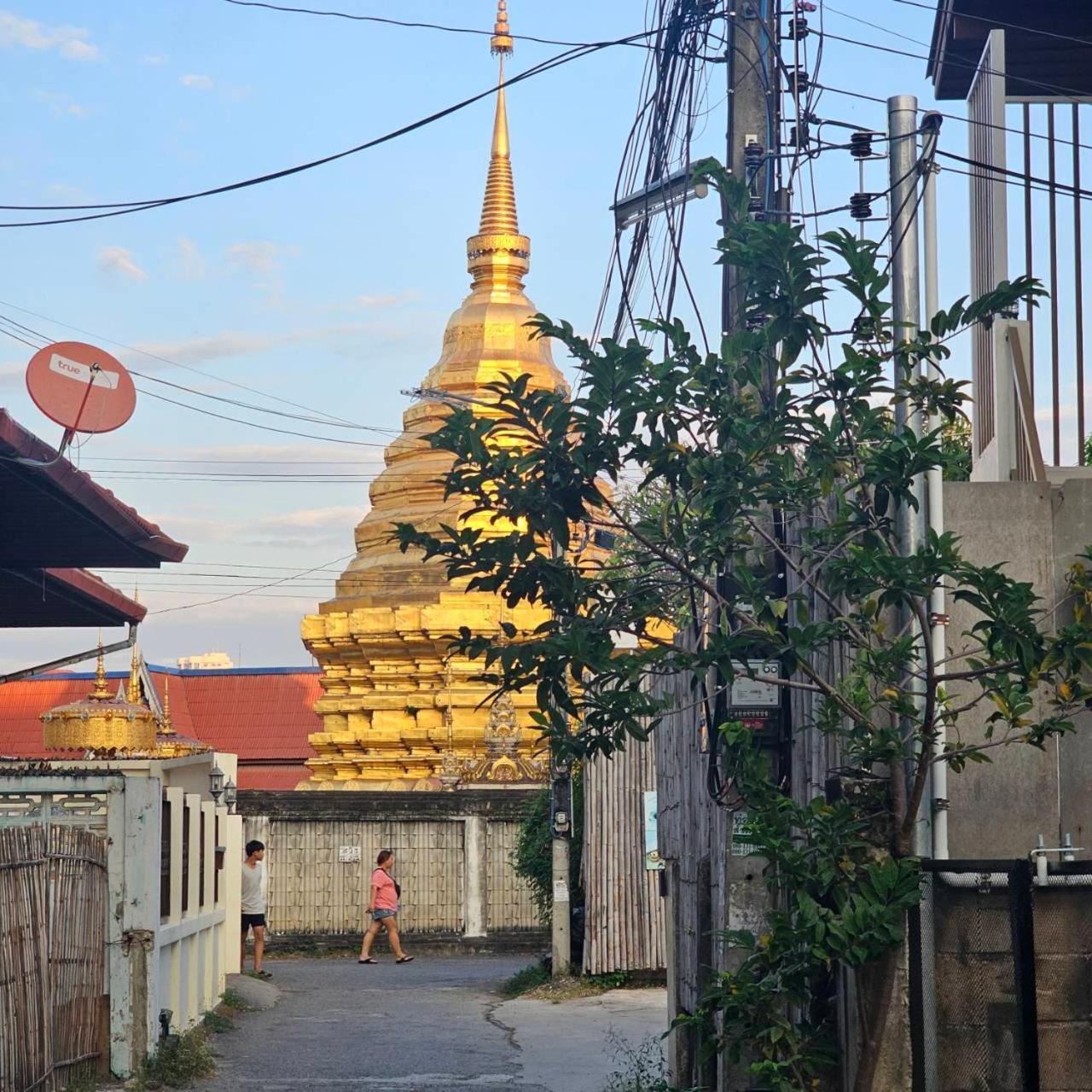 Cooper Pensão Chiang Mai