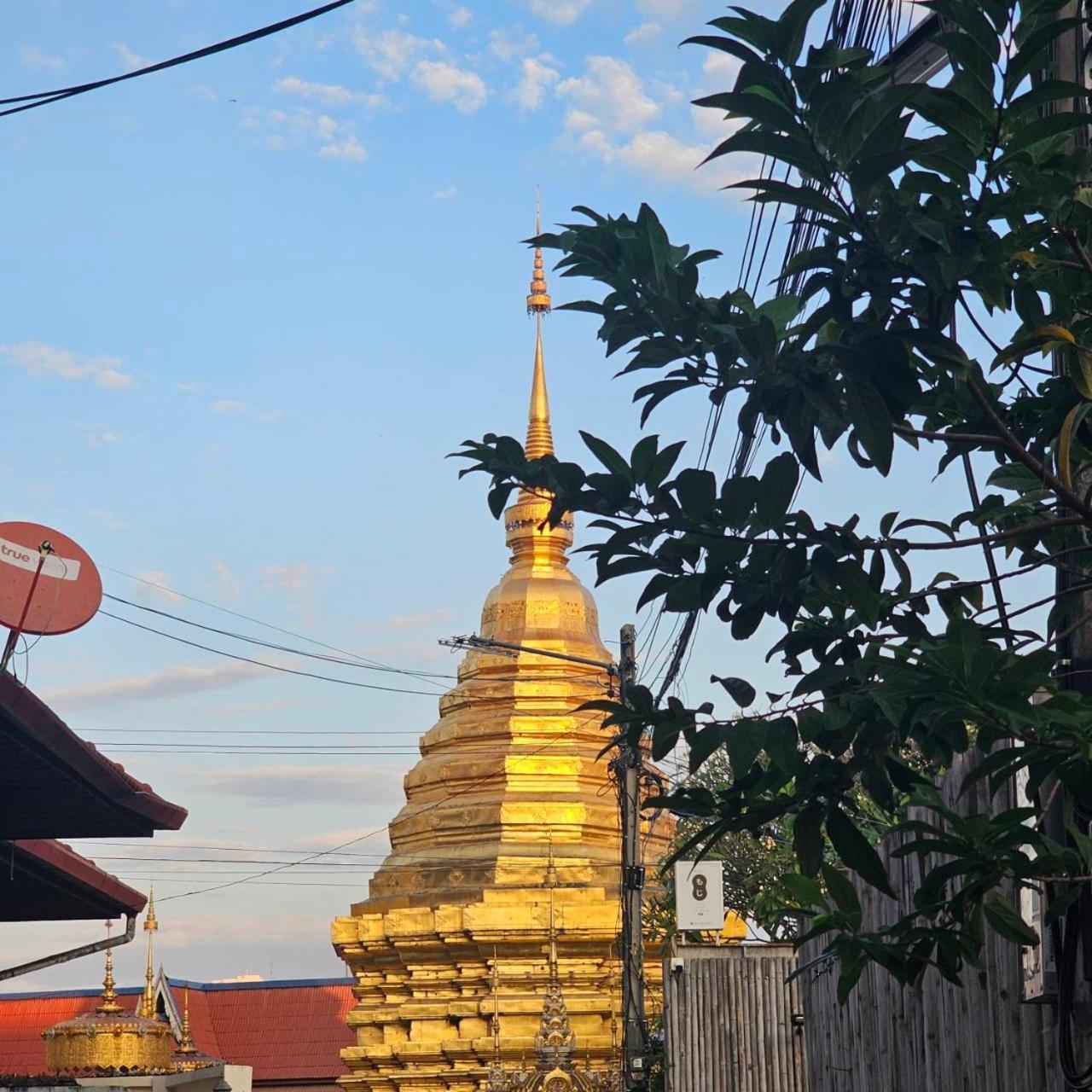 Cooper Pensão Chiang Mai